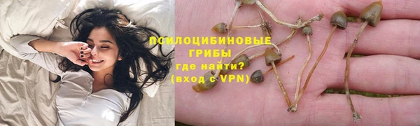 2c-b Краснослободск