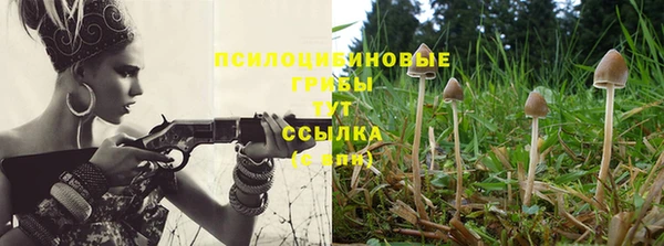 стаф Кукмор