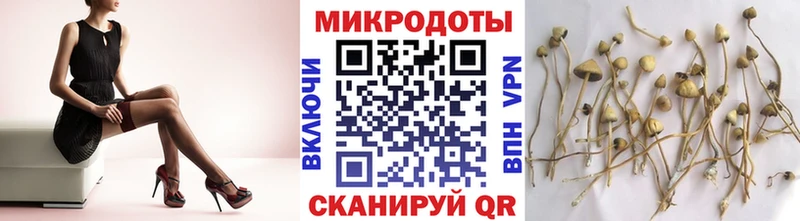 как найти наркотики  Чухлома  Псилоцибиновые грибы прущие грибы 